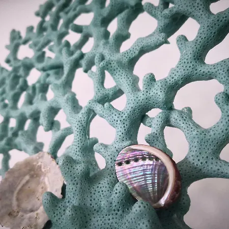 On The Sea アパート Puerto de la Madera