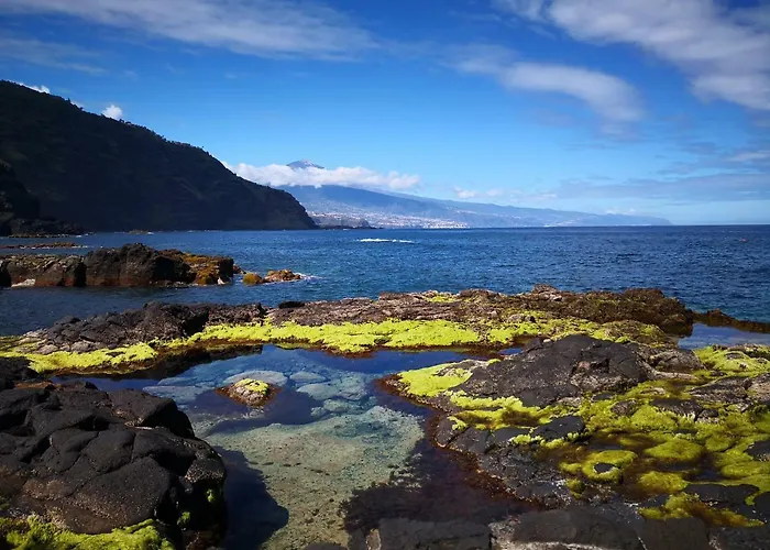 Apartament On The Sea
